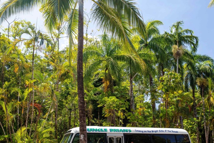 a bus parked in front of a palm tree