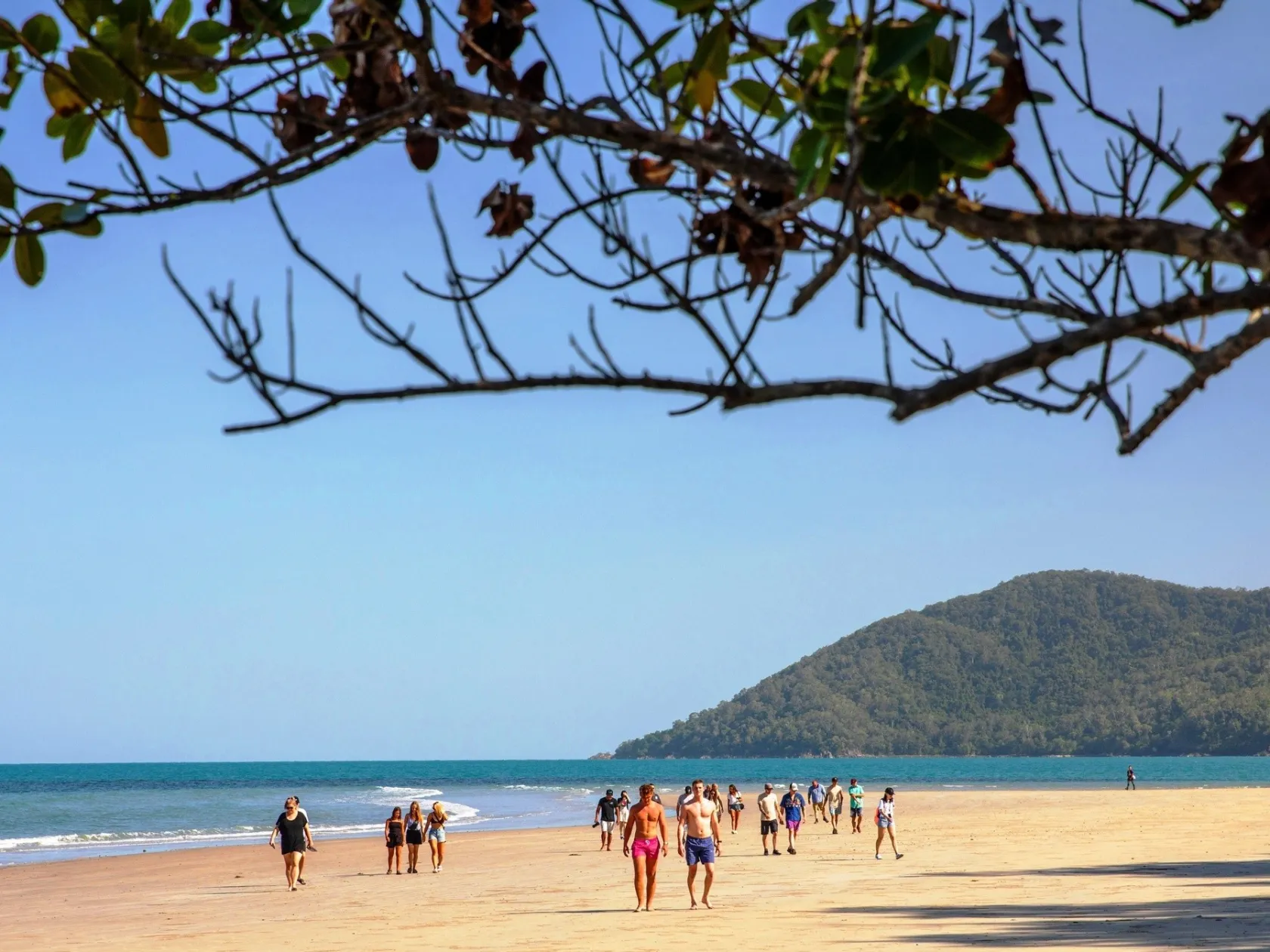 a group of people on a beach