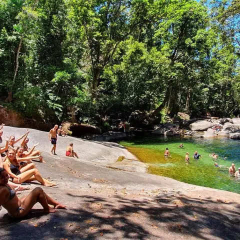 a group of people swimming in a body of water
