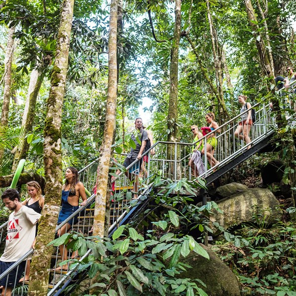 a group of people standing next to a tree