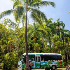 cairns private tours