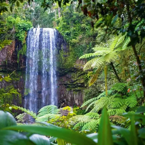 a large waterfall in a forest