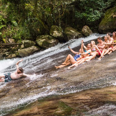 a group of people swimming in the water