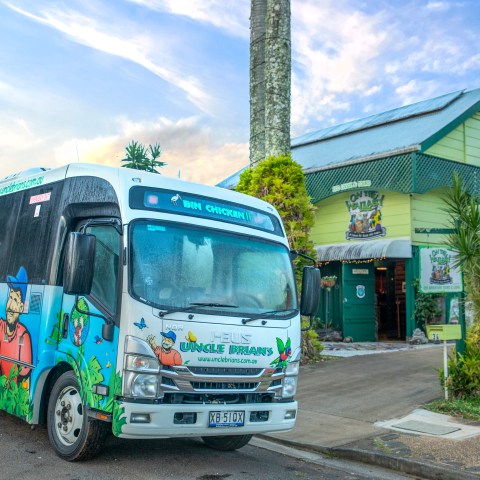 Colorful tour bus parked beside a green building with palm trees nearby.