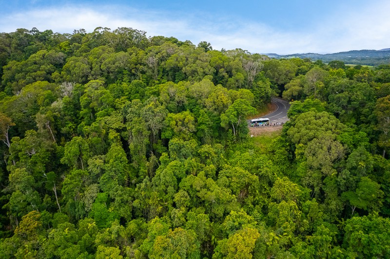 A road winding through dense green forest with a bus parked on the roadside.